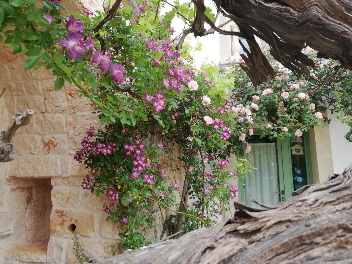 B&B Giovannarolla Green House Ostuni Luaran gambar