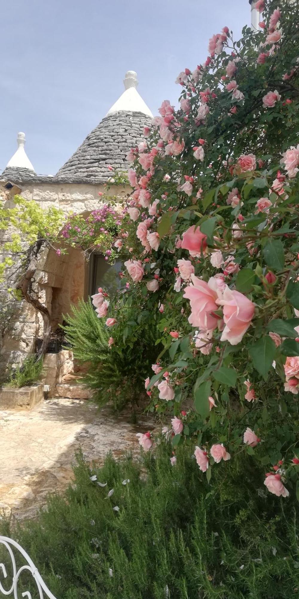 B&B Giovannarolla Green House Ostuni Luaran gambar
