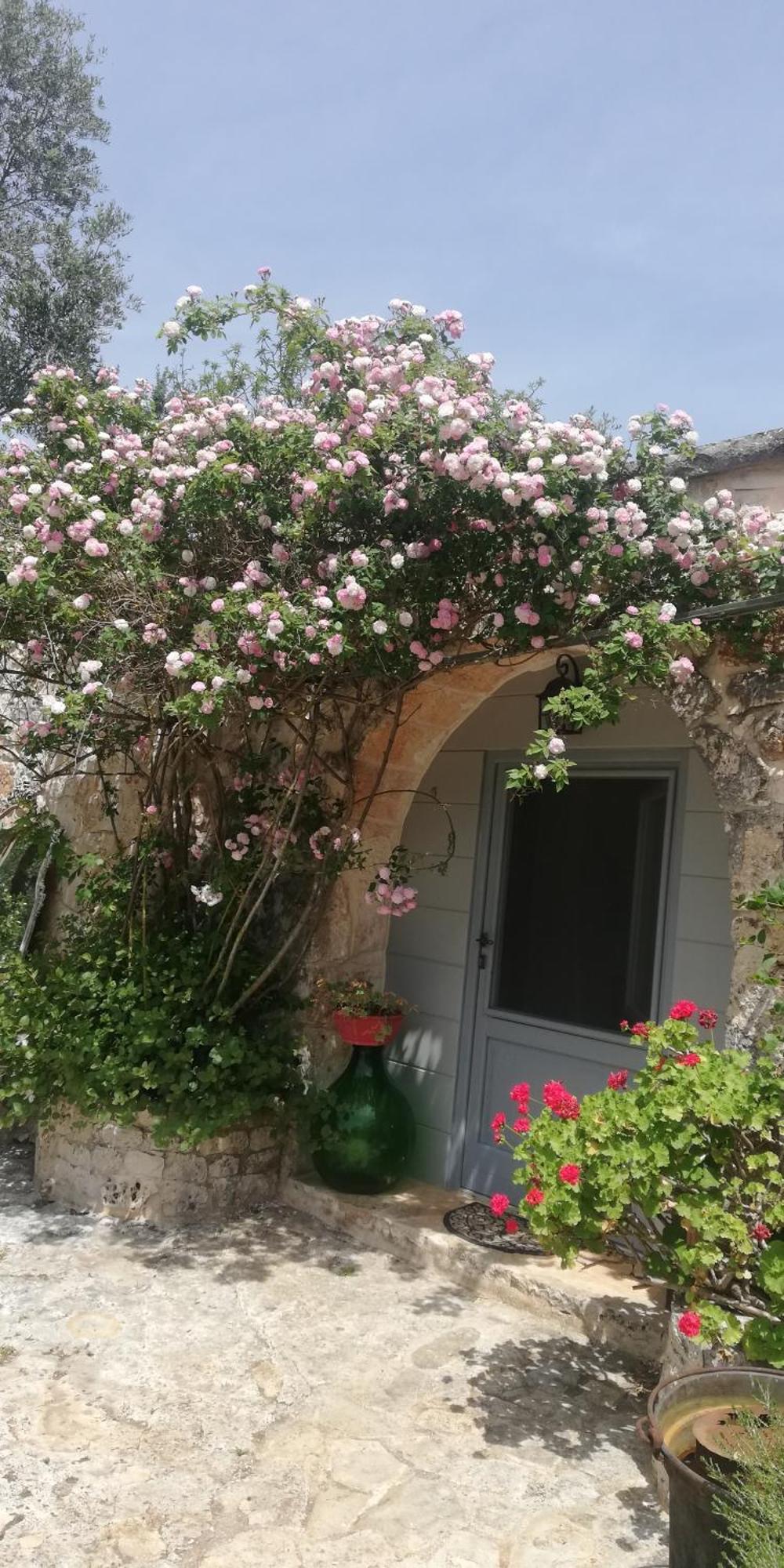 B&B Giovannarolla Green House Ostuni Luaran gambar