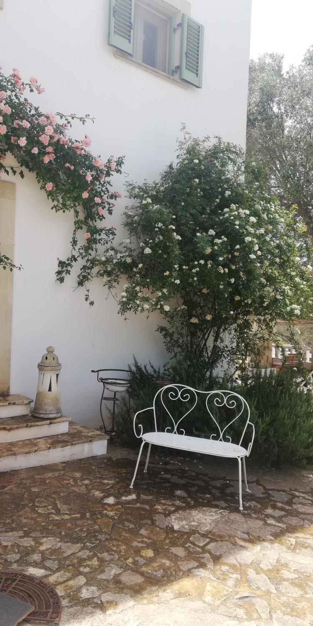 B&B Giovannarolla Green House Ostuni Luaran gambar