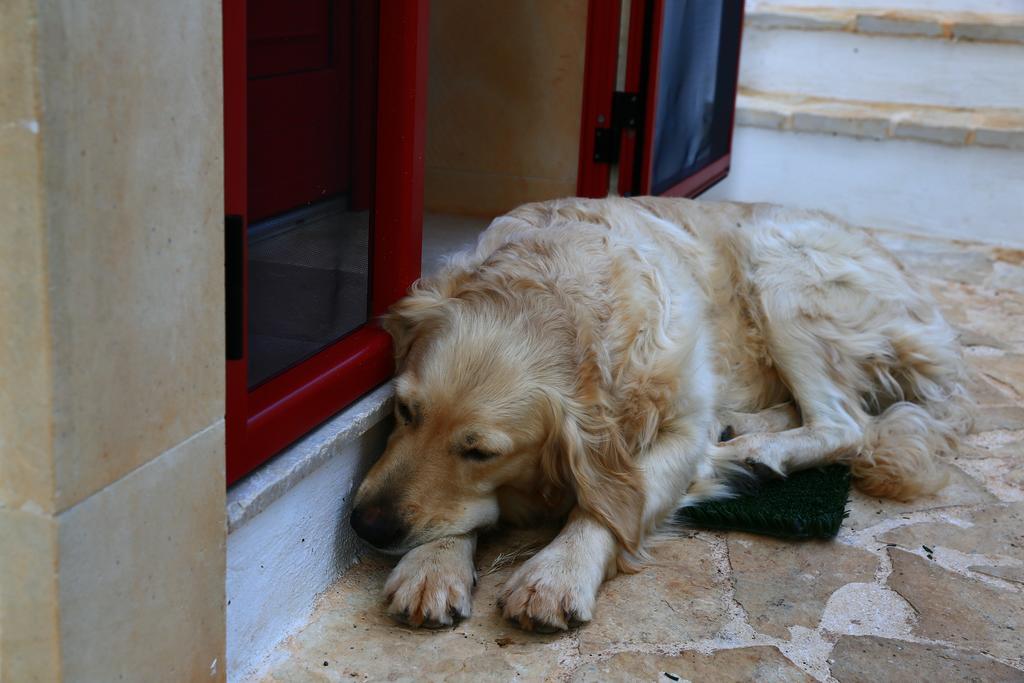 B&B Giovannarolla Green House Ostuni Luaran gambar